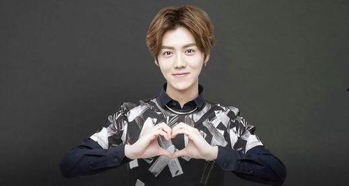 鹿晗找爆料者和解视频,视频揭露背后真相 第3张 鹿晗找爆料者和解视频,视频揭露背后真相 第3张